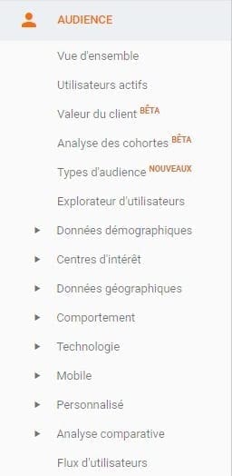 audience option dans google analytics