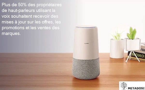 Une statistique sur les propriétaires de haut-parleurs intelligent activés par la voix qui veulent du contenu promotionnel.