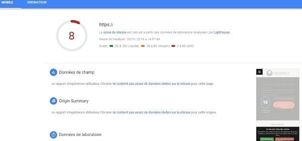 Capture d'écran de PageSpeed ​​Tools Insights