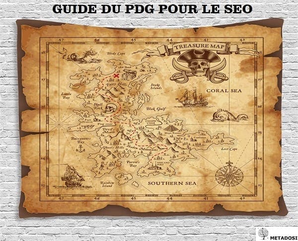 Guide SEO du PDG