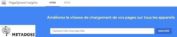 Une capture d'écran de la page d'accueil de Page Speed ​​Insights