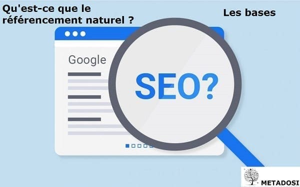 Bases du SEO : Qu'est-ce que le référencement et comment aide-t-il mon entreprise ?