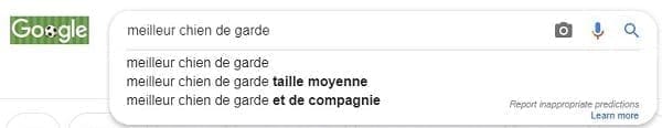 Suggestions pour la saisie semi-automatique du "meilleur chien de garde"