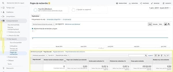 Une capture d'écran des pages de recherche dans Google Analytics