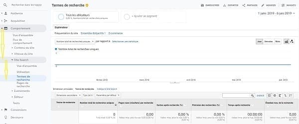 Une capture d'écran de termes de recherche dans Google Analytics