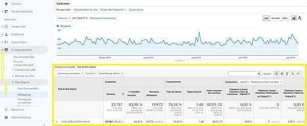 Une capture d'écran de l'utilisation de la recherche sur les sites dans Google Analytics