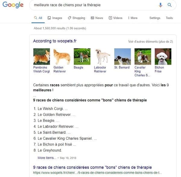 Marketing de SEO pour les meilleurs races de chien pour la thérapie