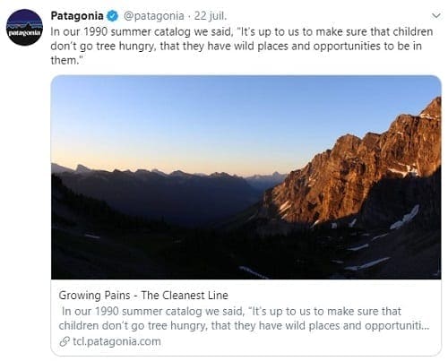 Une capture d'écran d'un Tweet Patagonia avec un lien vers son article de blog pour la promotion d'un site Web