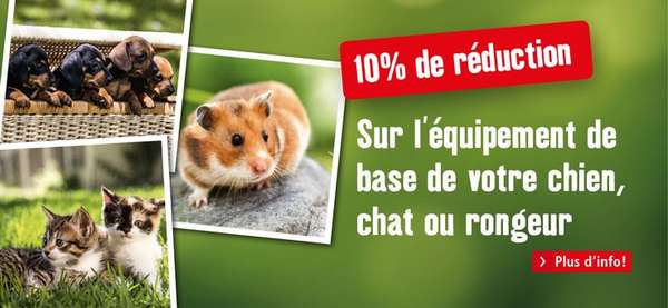 email de nourriture pour chien