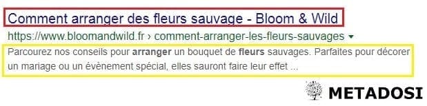 Question SEO sur les balises Title