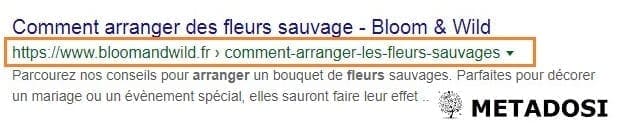 Question SEO sur les URL