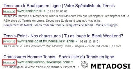 Résultats de la recherche Google avec les publicités PPC