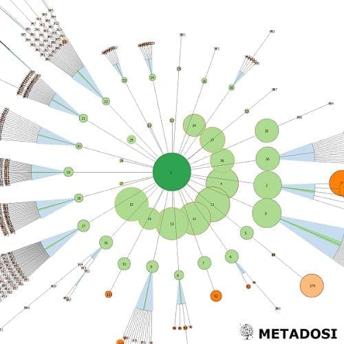 Les 4 étapes les plus importantes pour construire un Silo SEO