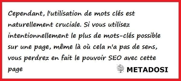 Stratégie SEO : Optimisation des mots-clés