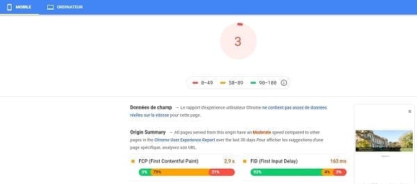 Exemple de rapport Google PageSpeed Insights