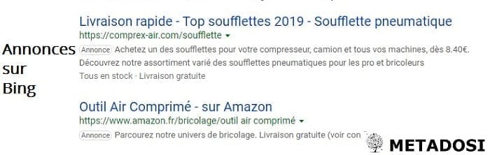 Une capture d'écran des annonces en ligne sur Bing