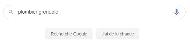 recherche google pour plombier à Grenoble