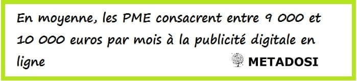 En moyenne, les PME consacrent entre 9 000 et 10 000 euros par mois à la publicité digitale en ligne