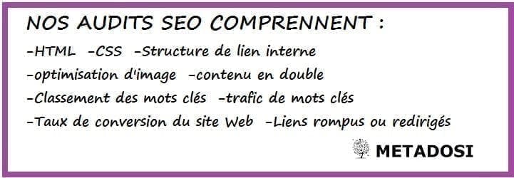 Aperçu des services de consultant SEO et des produits livrables