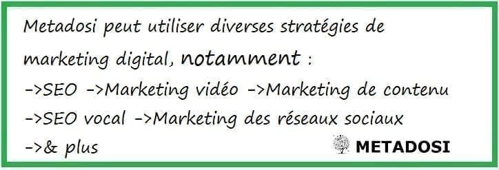 DealerDosi de Metadosi comprend plusieurs stratégies comme le référencement, le marketing de contenu et le marketing sur les réseaux sociaux