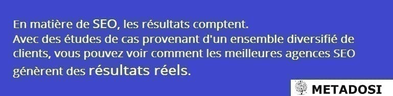 Une déclaration sur les raisons pour lesquelles les meilleures sociétés d'optimisation des moteurs de recherche ont des études de cas vastes et variées