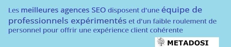 Une déclaration expliquant pourquoi les meilleures entreprises d'optimisation des moteurs de recherche ont une équipe de professionnels dévoués et expérimentés