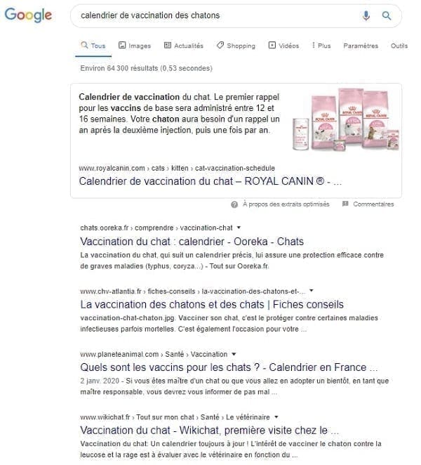 Exemple de défaillance d'un site web dans les SERP