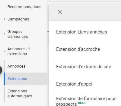 Options de Google Ads