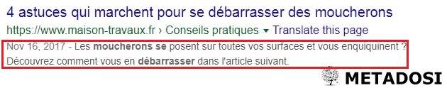 Exemple de méta description pour le SEO on page