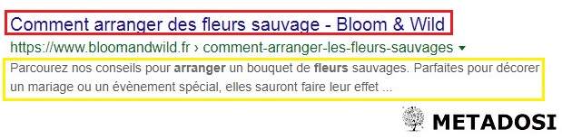 Exemple de balise titre pour le SEO on page