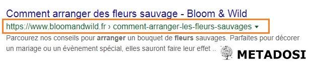 Exemple d'URL pour le SEO on page