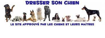 Dresser-son-chien.com