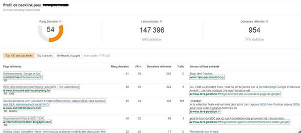 Résultats du profil des backlinks de l'outil de contrôle des backlinks de Ahrefs