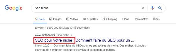 Référencement de SEO pour niche SERP de Google