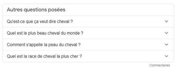 Boîte "Autres questions posées" avec des questions sur les chevaux