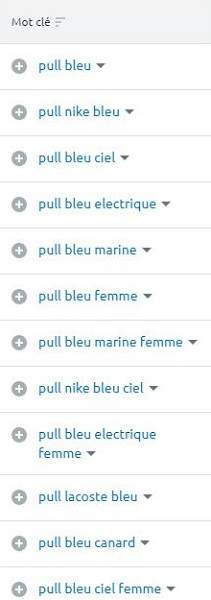 Liste de mots-clés en rapport avec les pulls bleus