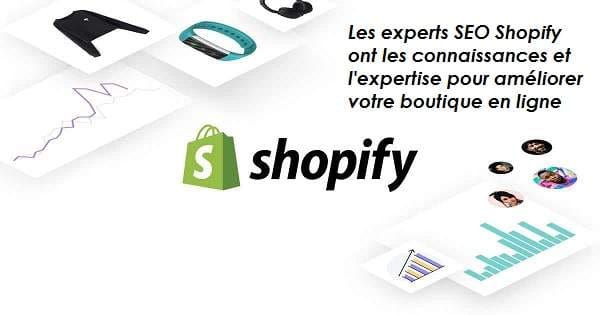 Expert SEO Shopify comment trouver un expert en référencement naturel Shopify