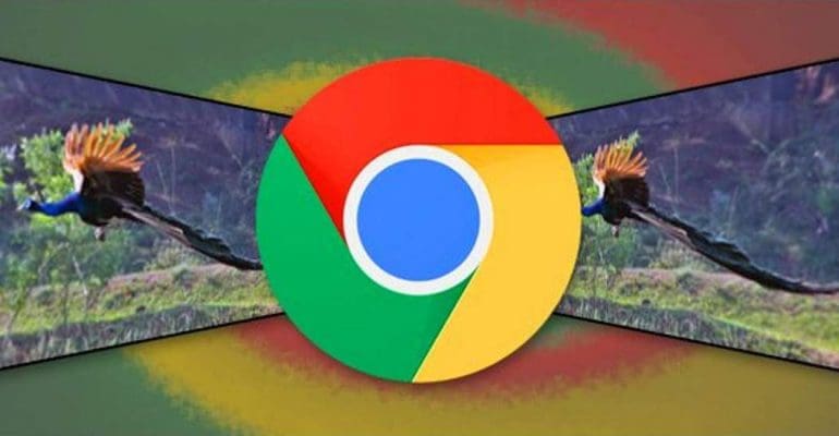 Webp le format d'image de Google pourquoi l'utiliser ?