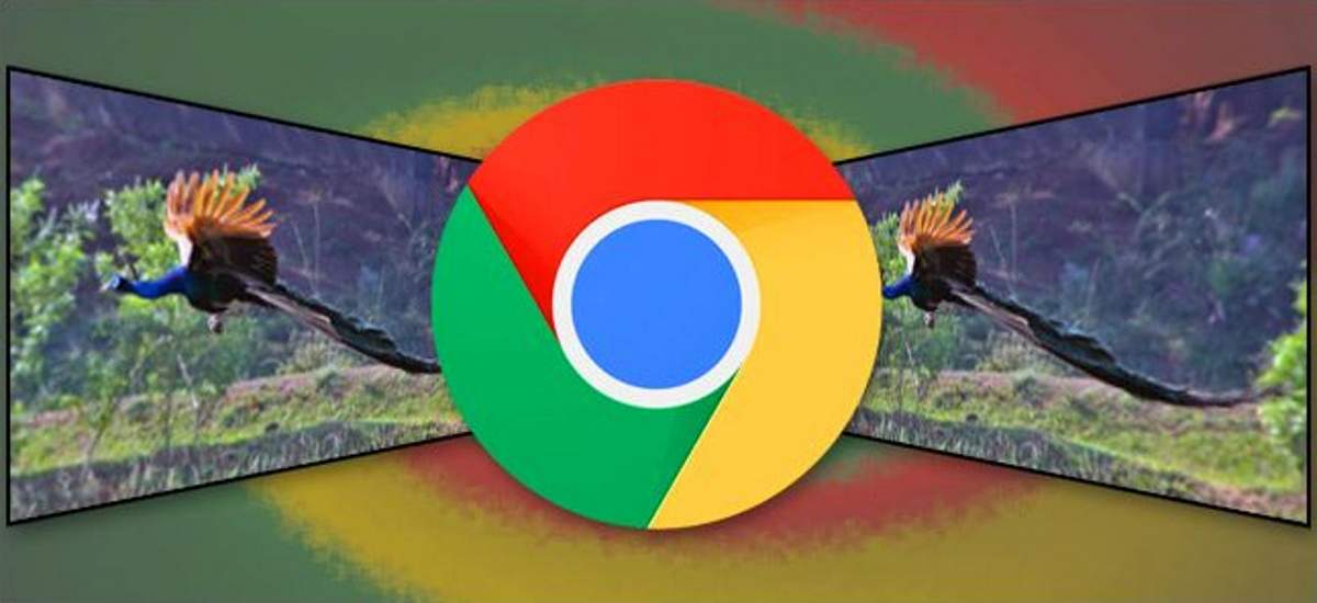 Webp le format d'image de Google pourquoi l'utiliser ?