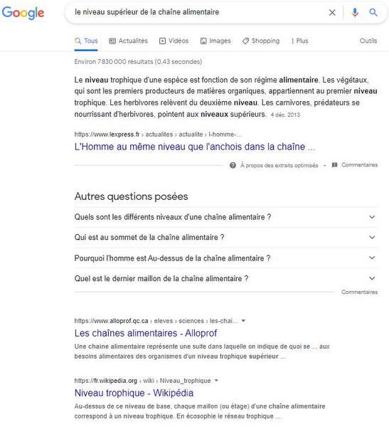 Requête de recherche Google