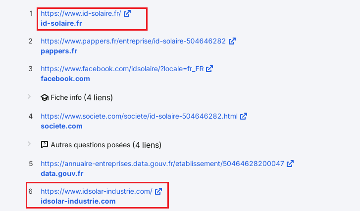 Exemple de parasitage SEO et Cannibalisation de marque