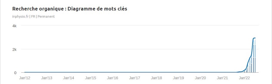 Inphysio.fr | Success Story d'une Boutique Santé et Bien-être 2 Positionnement mots clés Inphysio